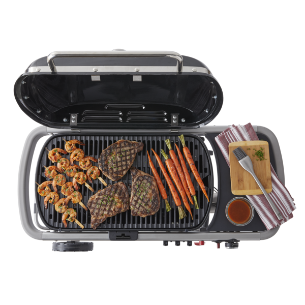 Weber Traveler - Afbeelding 6